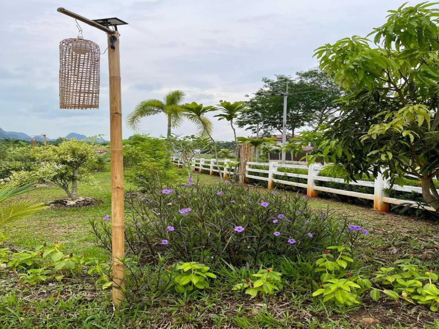 Capital O 75518 Baan Rose Resort Ao Luk Ngoại thất bức ảnh
